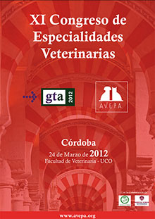 Imagen: core_media/myramar/noticias/patologia_rodilla/gta2012.jpg